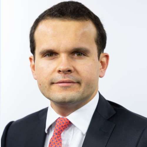 Portrait of Damyan Dimitrov